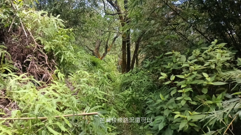 f6102a38cd640625fb7df9b498e5b114.png