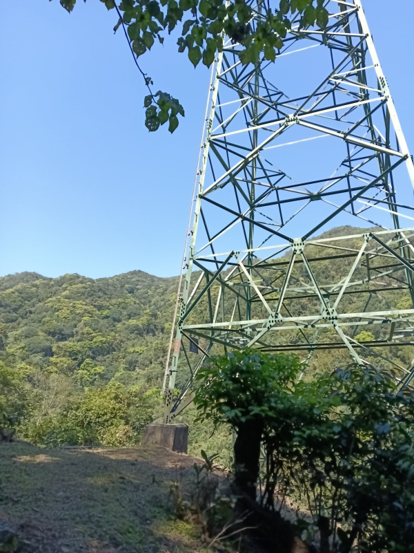 f6274669ea7b605109009131e87e7108.jpg