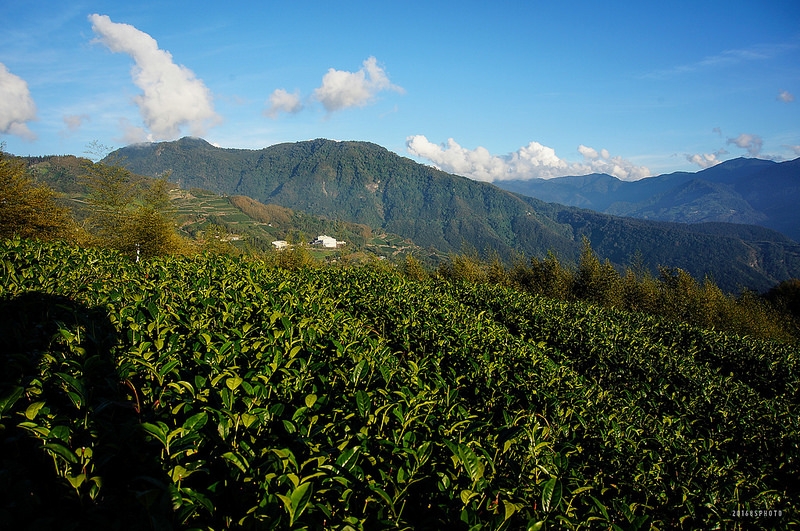 石槕山展望