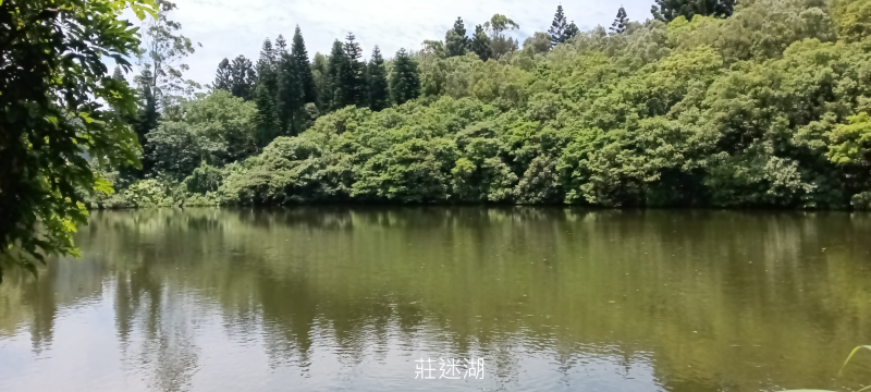 f68e9322cc32f76a7ebcc4431f029f31.png