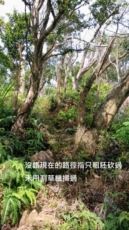 f68fb43c349549edc73c02a091efc7d9.png