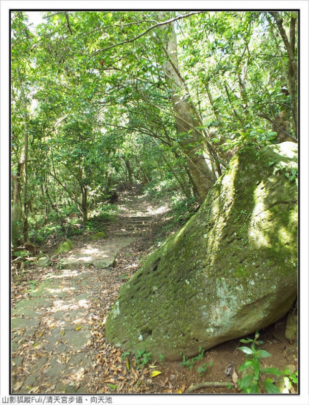 清天宮步道 (28).jpg - 清天宮步道、向天池