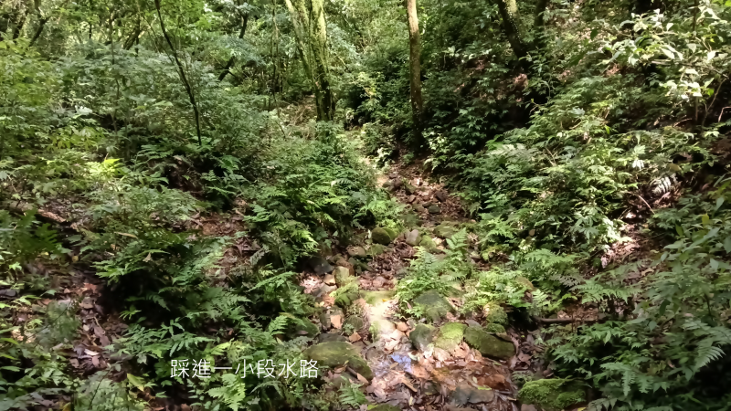 f6e456d6a25f9ddffa9538817737d908.png
