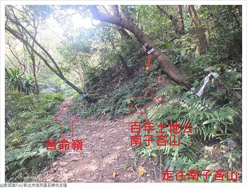 石梯坑古道 (50).JPG - 石梯坑古道