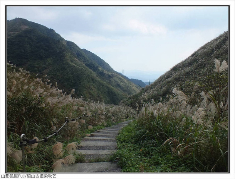 貂山古道 (45).jpg - 貂山古道