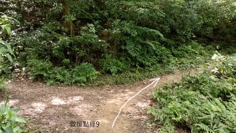f76b05bc8df82638dc97d7f10f68ff10.png