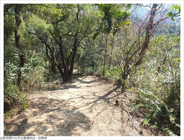 橫科山白匏湖 (30).JPG - 橫科山、白匏湖