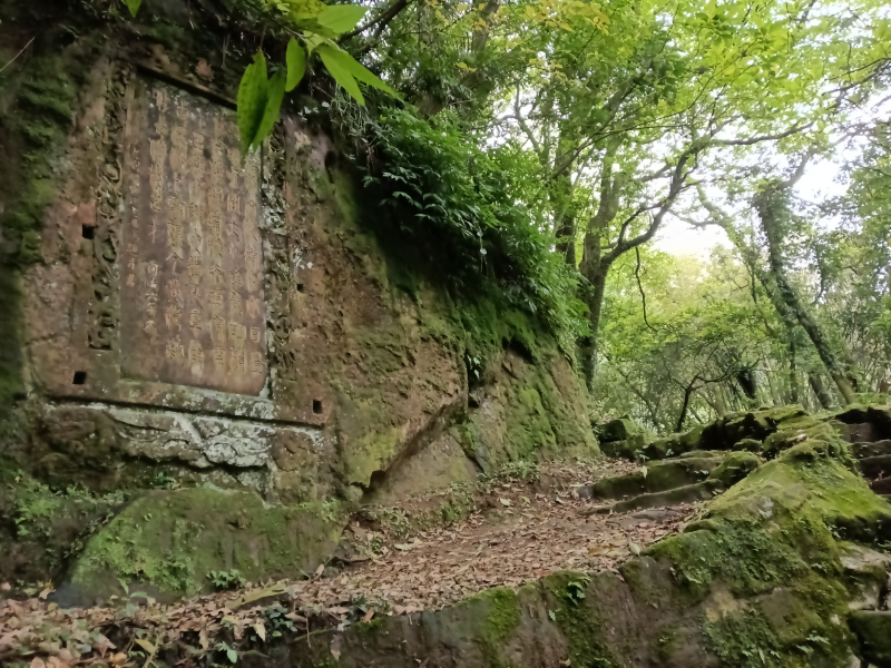 f7789c0139bf5d64983efbb74e00d1bf.jpg
