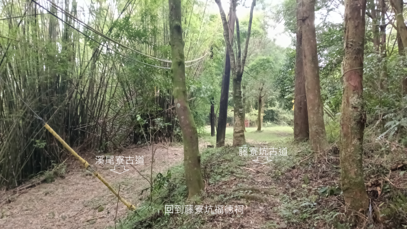f7ec99559f113612f9b0833b8bed1767.png
