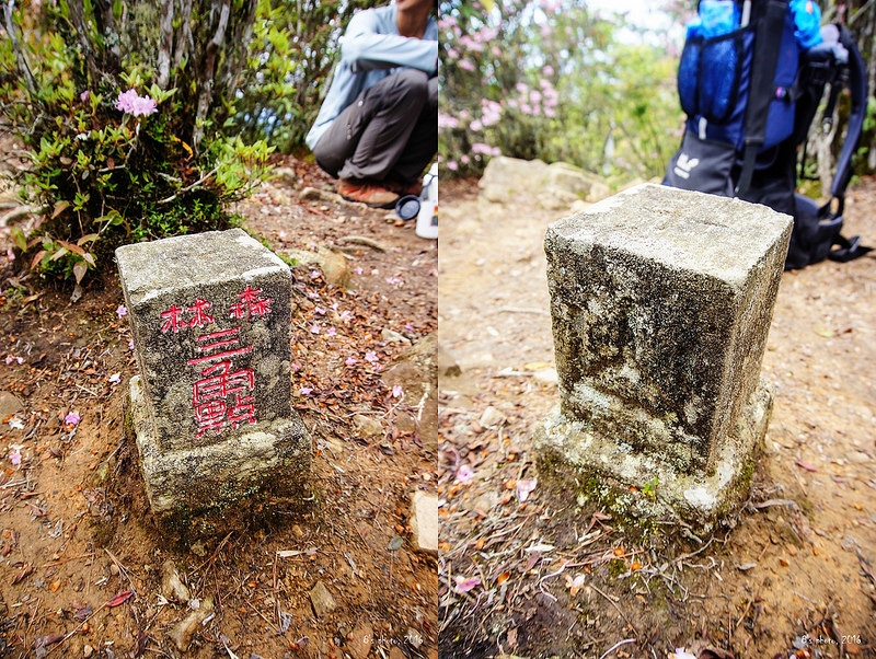 自忠山（兒玉山）山字森林點