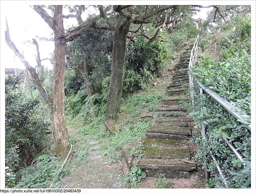 錦峰山 (33).JPG - 錦峰山