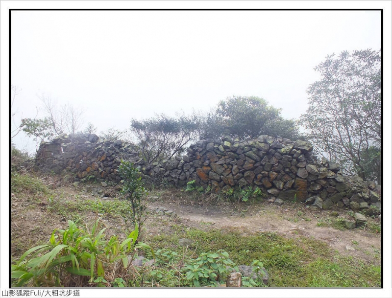 大粗坑步道 (9).jpg - 大粗坑步道