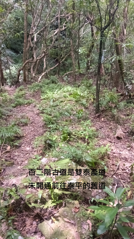 f9359465f40bcc2d5e9508f525b5a08b.png