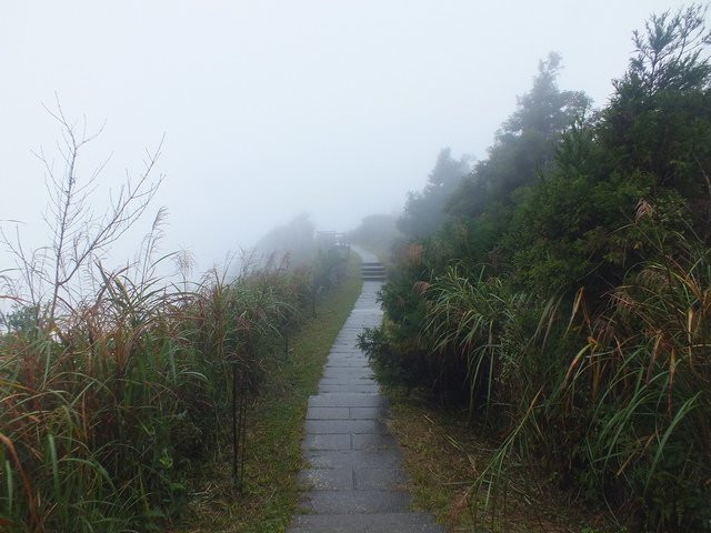 五分山稜線步道 (54).JPG - 雨霧五分山