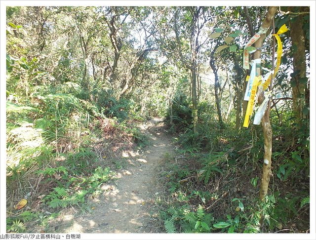 橫科山白匏湖 (130).JPG - 橫科山、白匏湖