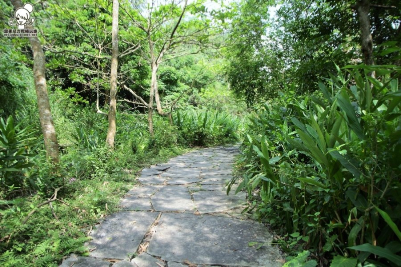 玉龍泉生態步道