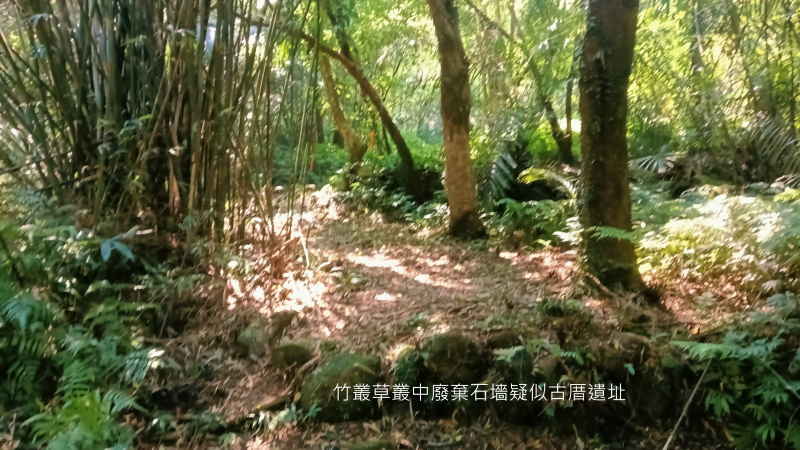 f9e0336118d3c0522fa8507351b5675f.png