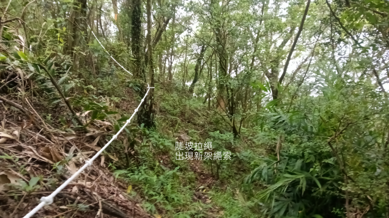 f9eaa56c2ec497f617a08eefef8fbfa7.png