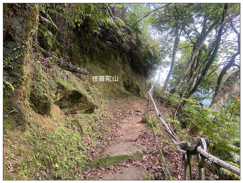 fa17f6071e40c1b779fba6a736722409.jpg