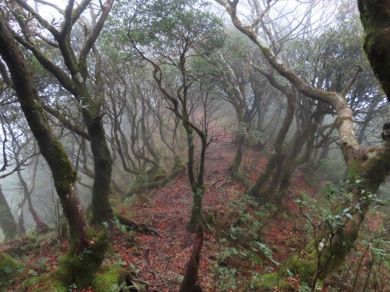 滿月圓走北插天山