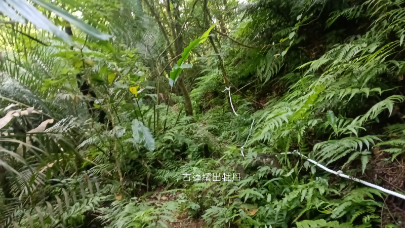 fa8781074f2e89c7e0b6450d8bff01bc.png