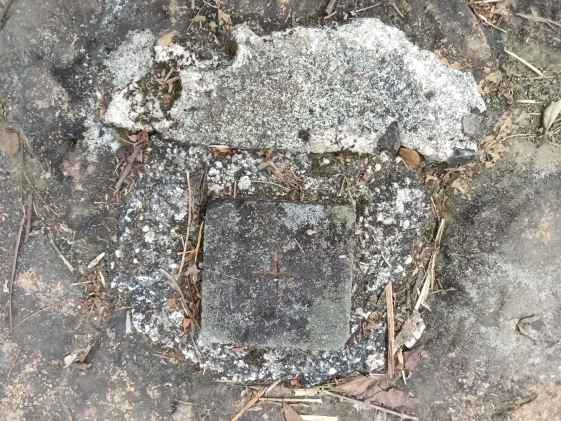 fae133a1ebc4eec51218d290376d0555.jpg