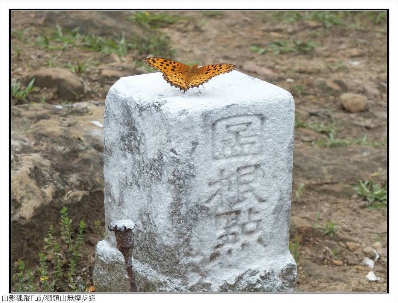 獅頭山無菸步道 (1).jpg - 獅頭山野牡丹