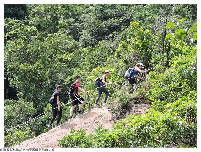 普陀山 (7).JPG - 普陀山步道