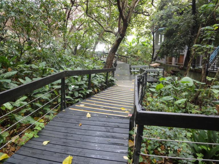 芝山岩健走步道｜健康大榖東線