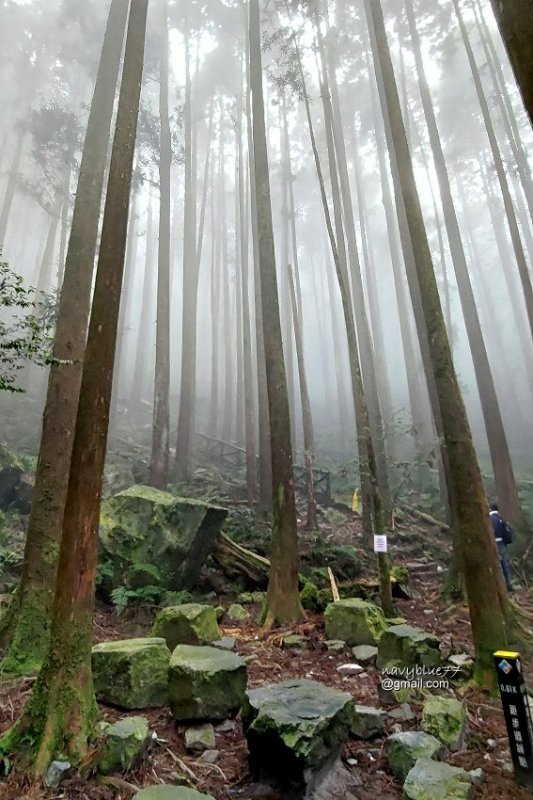 沙蓮山橫嶺山 (91).jpg