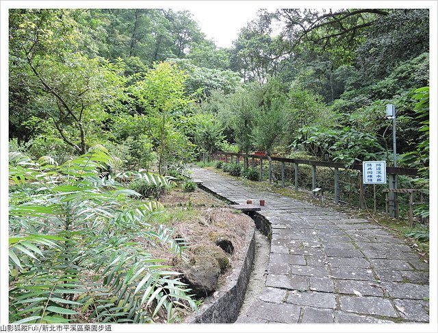 藥園步道 (9).JPG - 藥園步道