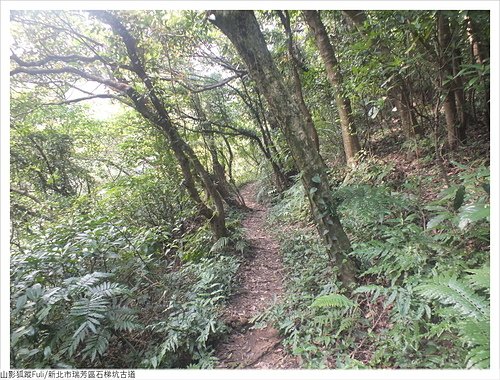 石梯坑古道 (31).JPG - 石梯坑古道