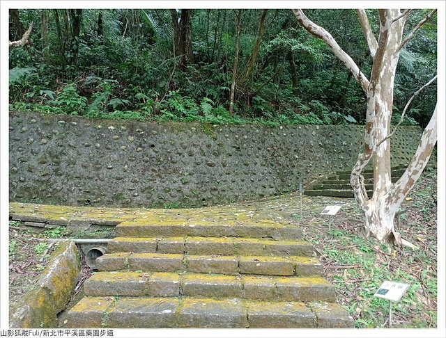 藥園步道 (40).jpg - 藥園步道