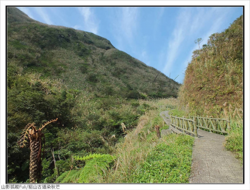 貂山古道 (25).jpg - 貂山古道