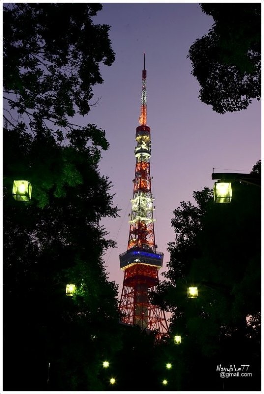 東京鐵塔 (2).JPG
