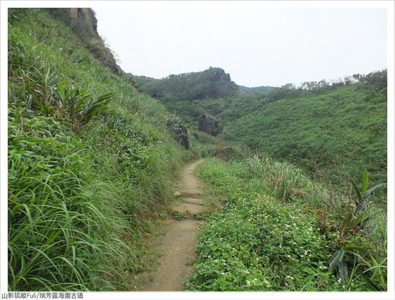 海園古道 (33).JPG - 海園古道蝶影翩翩