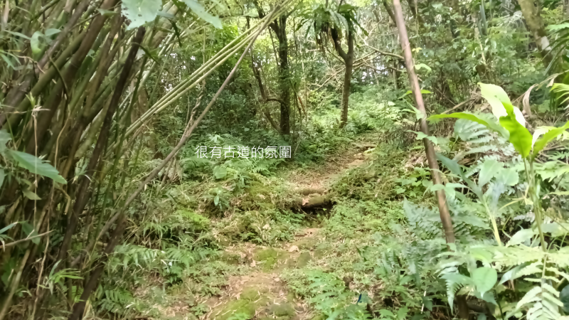 fd3d519a6d4105f07c71d9f2ae342e55.png