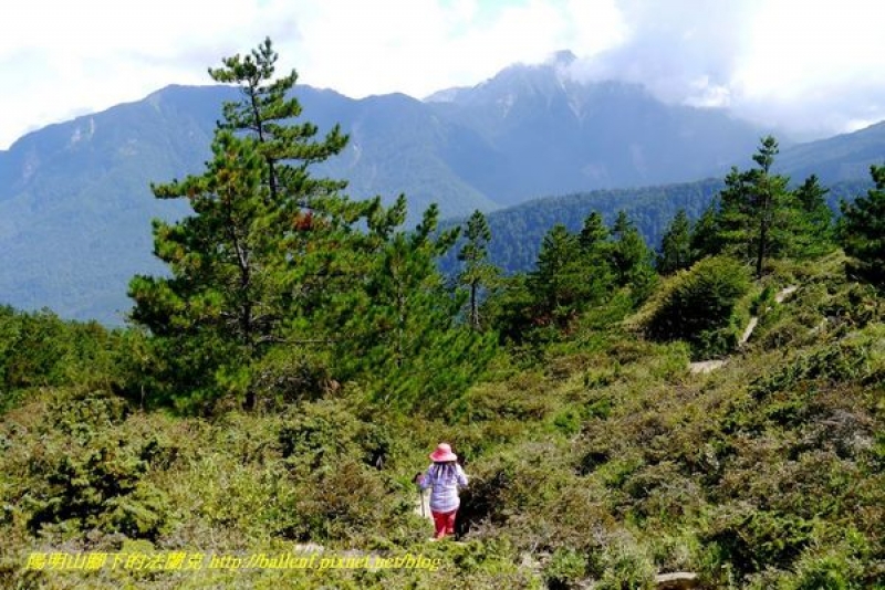 【南投】合歡山北峰