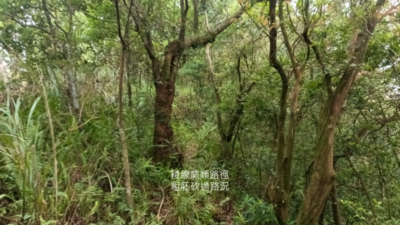 fd6f8654d707c0e28c9d94875c32fe60.png