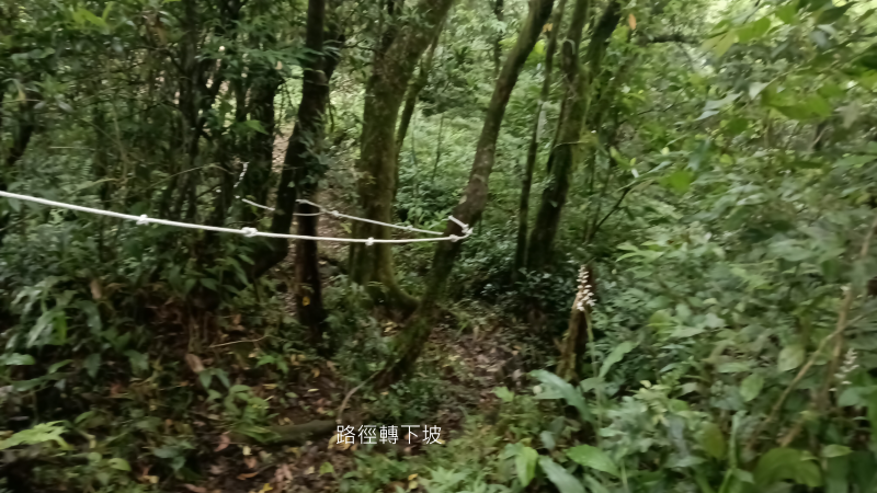 fd844cf7da5770124ab6f192902a849b.png