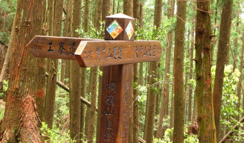橫嶺山登山步道