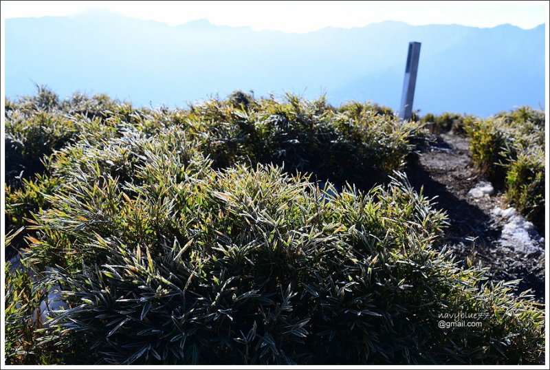 合歡山南峰主峰 (3).JPG