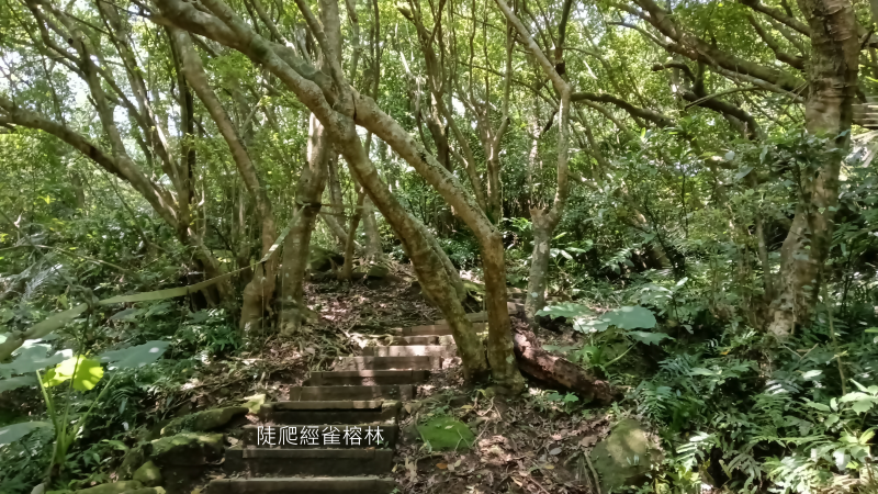 fdacf1bef87544ef46d2e0b1b3ae5044.png