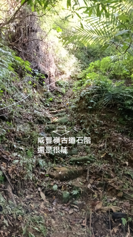 fdaf425815476cd2cdacf924e9ab779c.png