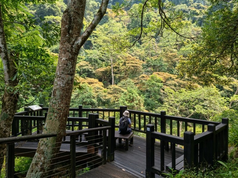 《台中》天籟之音｜八仙山森林遊樂區及谷關