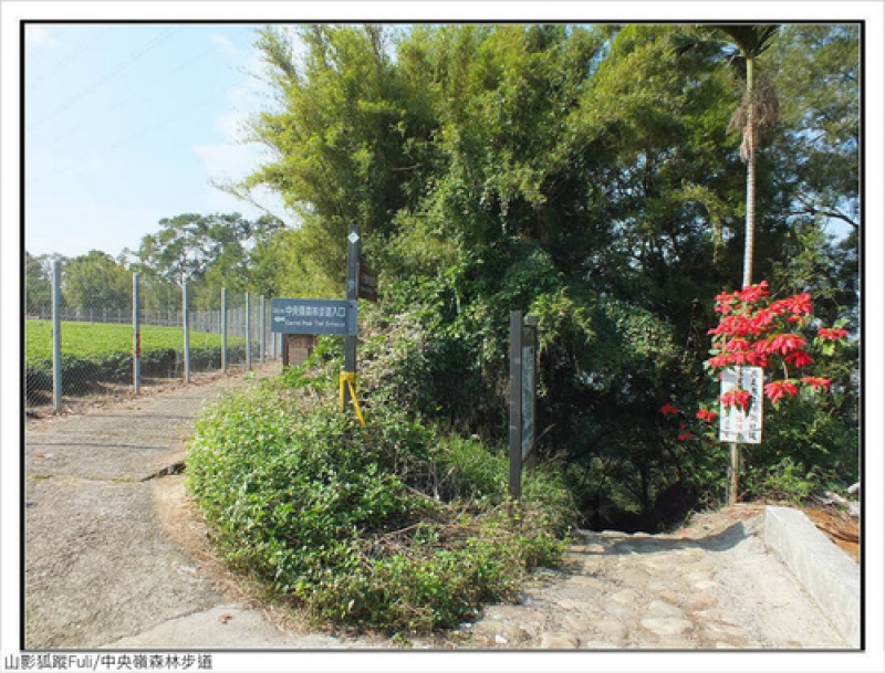 中央嶺森林步道 (3).jpg - 中央嶺森林步道