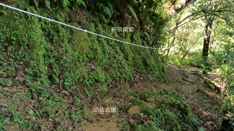 fe07f42dfa1681d3e11f5032b054a914.png