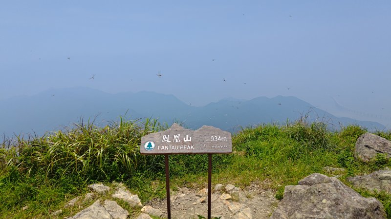 fe1226ab7ac74bbe569d31f87933c76f.jpg