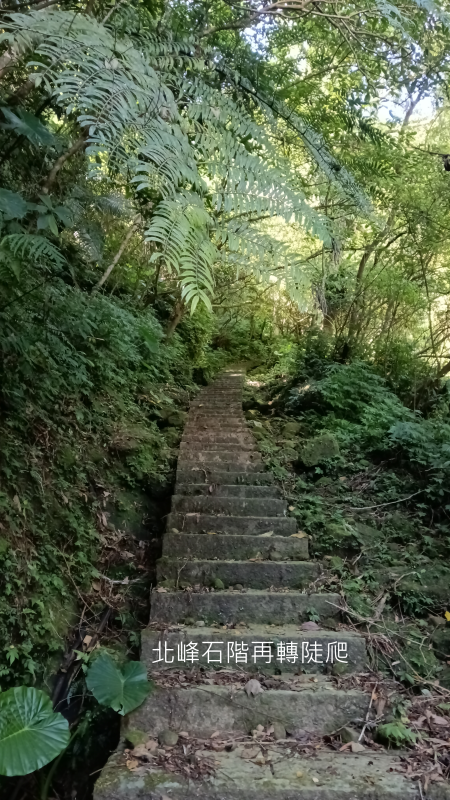 fe23826e9e6216a9df9eabdf966cfc13.png