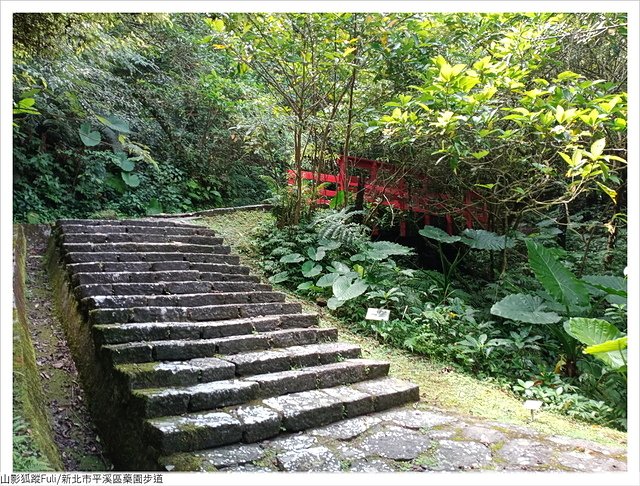 藥園步道 (26).jpg - 藥園步道